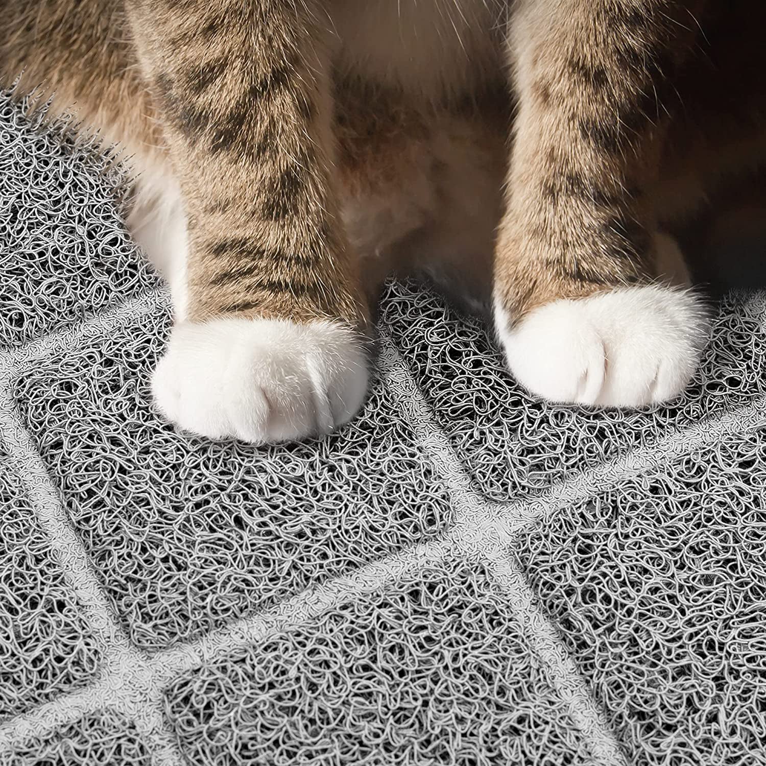 Premium Cat Litter Trapping Mat — Waterproof, Non-Slip & Easy Clean