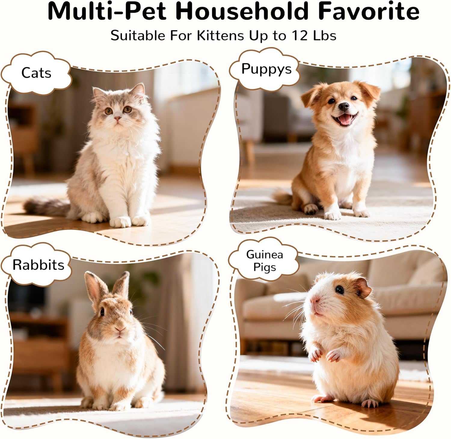 3-Way Collapsible Cat Tunnel — Interactive Peek-Through Play Tube