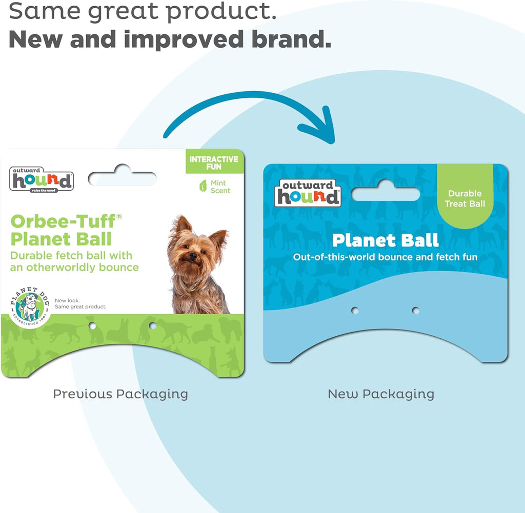 Planet Treat-Dispensing Dog Ball (Small) — Blue/Green